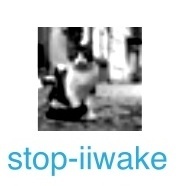 stop-iiwake.jpg